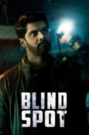 Blind Spot (Prime Video)