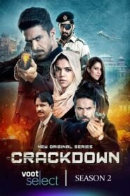 Crackdown: Season 2